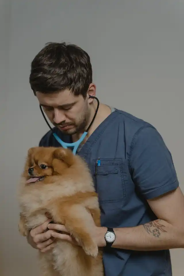Михайло